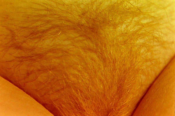 Pic #1 Orange