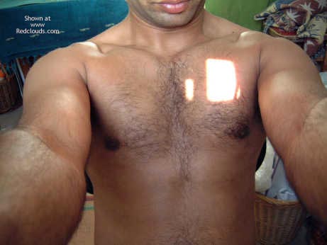 Pic #1Tigress has a toy