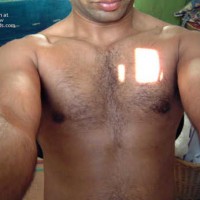 Pic #1Tigress has a toy