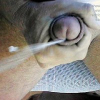 Pic #1For Me and the Ladies