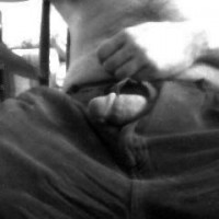 Pic #1Male Contribution