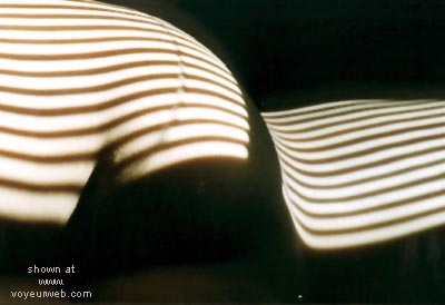 Pic #1Curves