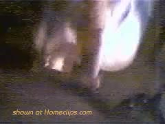 Pic #1Ciao from italia!