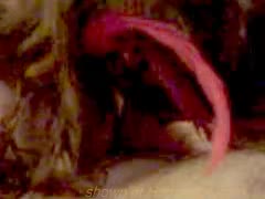 Pic #1Oral Annie does Scorpio