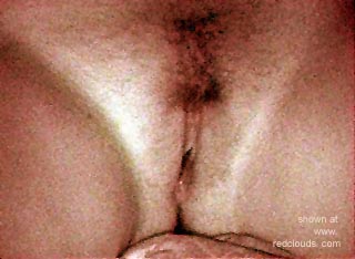 Pic #1"nightshot"    infrared