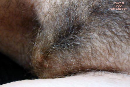 Pic #1Barcelona F1 GP