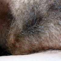 Pic #1Barcelona F1 GP