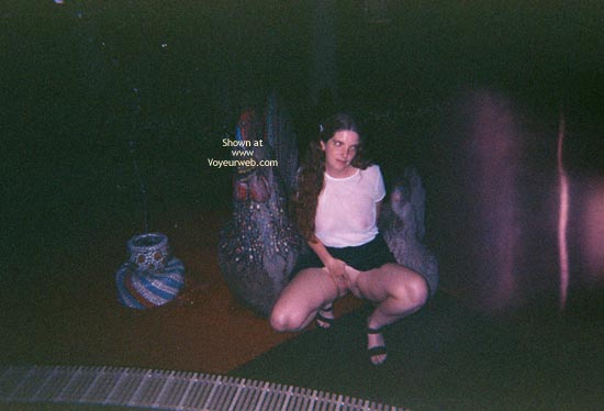 Pic #1Farewell To Palm Springs