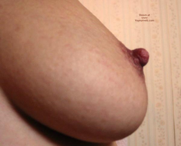 Pic #1 Body Puzzle