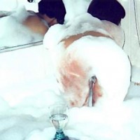 Pic #1Hot Asian Flowers