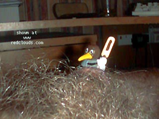 Pic #1M* My Little Man