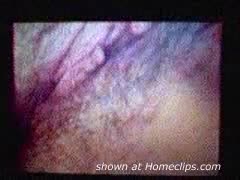 Pic #142 Yr Old Wife 2