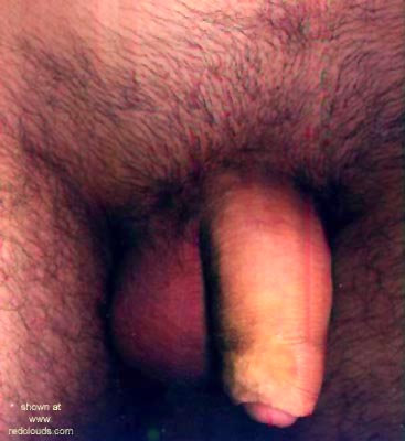 Pic #1Penis on Scanner