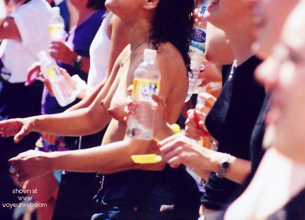 Pic #1Toronto Parade II