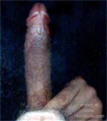 Pic #1ScanMan3