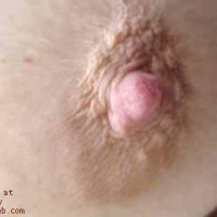 Pic #1Wife's Big Nipples