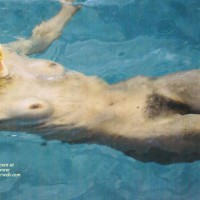 More Pictures From My Ex