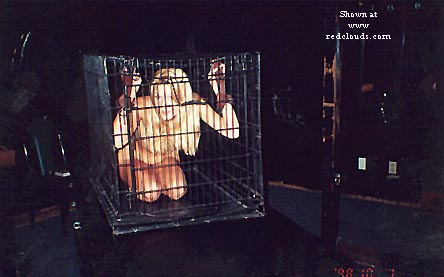 Pic #1Fetish Goodies