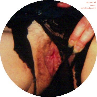 Pic #1My Fountain of Youth