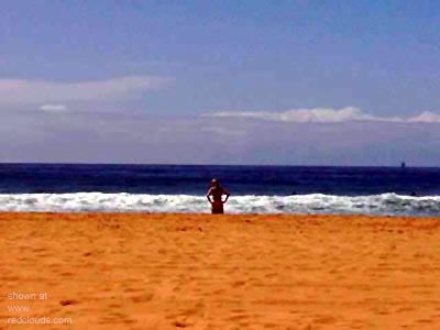 Pic #1Sydney, my Love