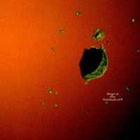 Pic #1Hot Ca G/F Glory Hole