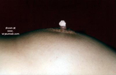 Pic #1Rose for Dessert!