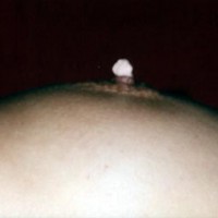 Pic #1Rose for Dessert!