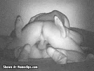 Pic #1New England Nookie 01