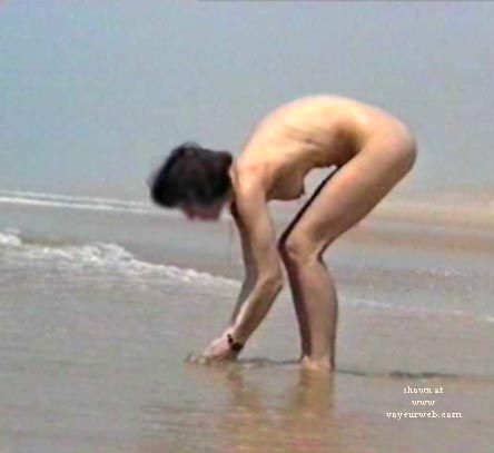 Pic #1 Nice Shell(s)