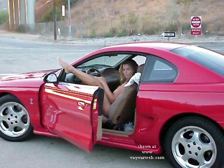 Pic #1Nikki's Cobra - 3 of 4