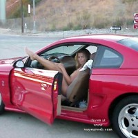 Nikki's Cobra - 3 of 4