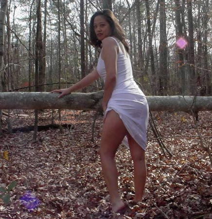 Pic #1Asian Tiger In Woods