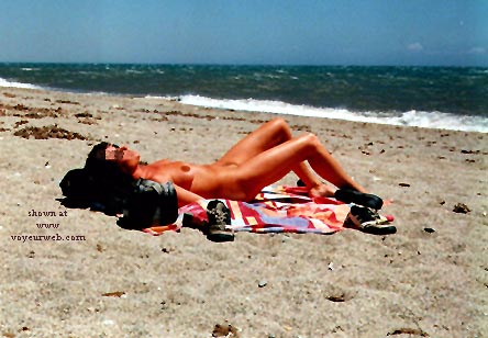Pic #1Dutch Contribution