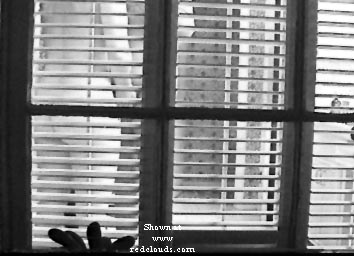 Pic #1Neighbor stroking boyfriend