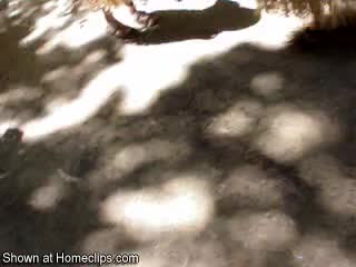 Pic #133rd Oregon Country Fair 5