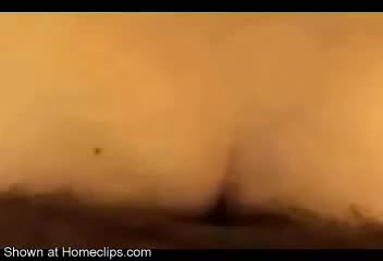 Pic #1JOOSY'S VIDEO SHACK 08