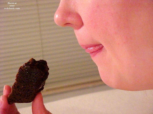 Pic #1Bear Brook Multi-Camera