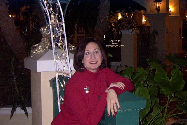 Pic #1After The Holiday Party Part Ii