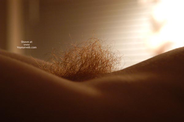Big Fiery Bush - Hairy Bush , Big Fiery Bush, Bush Shot, Pubic Hair Closeup, Unshaved Pussy, Fire In The Hole, Blue See Through Thong, Fiery Bush