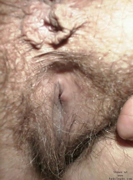 Pic #1cindy up close