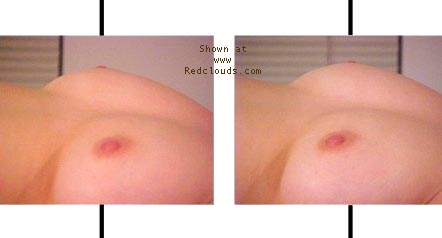 Pic #1Bear Brook Stereograms