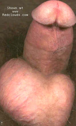 Pic #1M* The Devil Made Me Do it