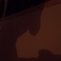 Pic #1Jeux D&#39;ombres / Shadows Effects
