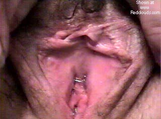 Pic #1Friend's Ex-Wife "XLW"