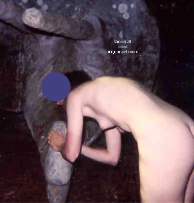 Pic #1Wife in Dinoland