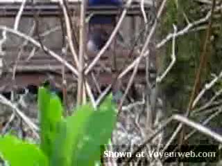 Pic #1Lucky Hiking Day