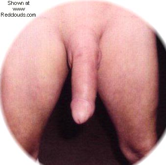 Pic #1M* Hi I'm John