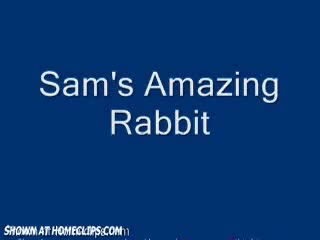 Pic #1Shaven Sams Amazing Rabbit