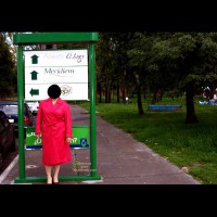 Azul En El Bosque De Chapultepec