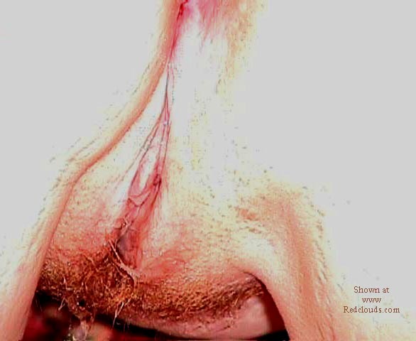 Pic #1Red hot and her firefighter